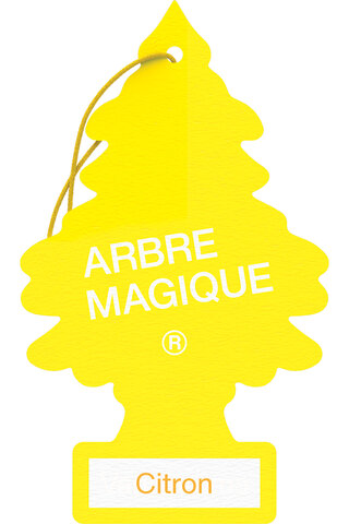 ARBRE MAGIQUE Lemon TREE