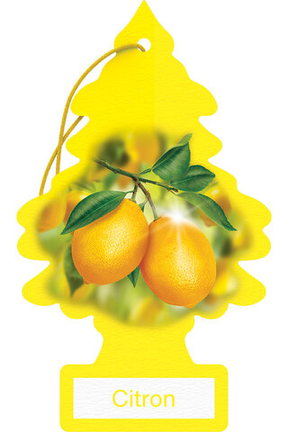 AM Lemon Tree