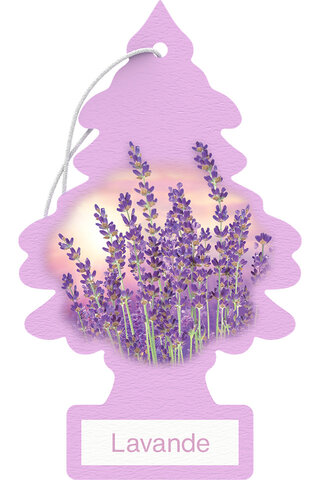 AM Lavender Tree