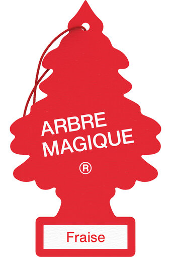 ARBRE MAGIQUE Strawberry TREE