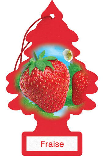 AM Strawberry Tree