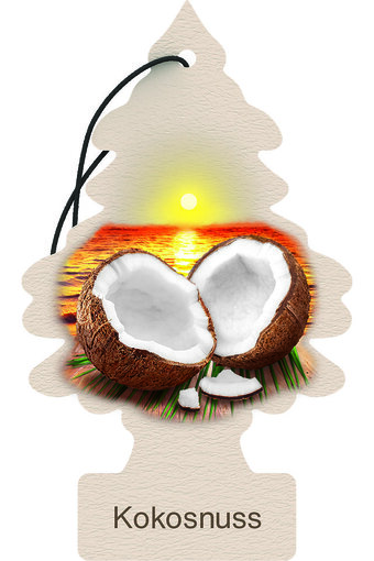 Coconut Tree
